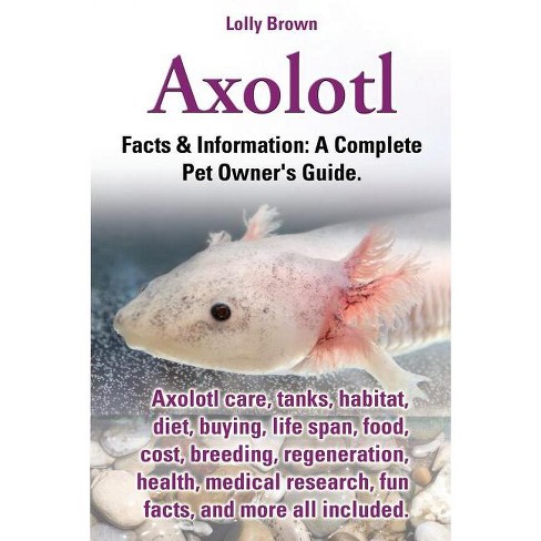 Axolotl. Axolotl Care, Tanks, Habitat, Diet, Buying, Life Span, Food, Cost,  Breeding, Regeneration, Health, Medical Research, Fun Facts, And More All :  Target
