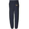 University of California Irvine Officially Licensed Apparel - Primary Logo School Color Jogger Sweatpants - 2 of 4