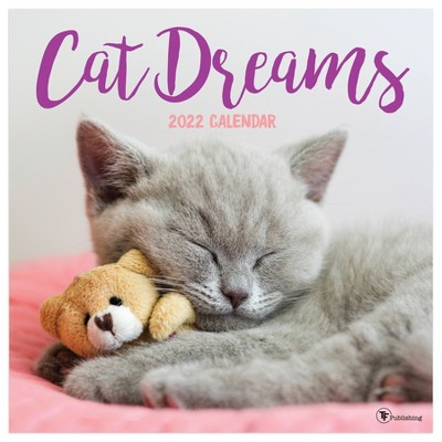 2022 Wall Calendar Cat Dreams - The Time Factory