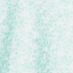 julep phlox floral