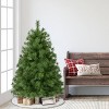 Puleo 4.5' Unlit Artificial Vermont Pine Christmas Tree - 4 of 4