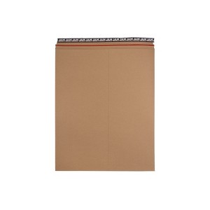 JAM Paper Stay-Flat Photo Mailer Envelopes w/Self-Adhesive Closure 17x21 BN 8866647 - 1 of 4
