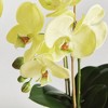 Plum & Post Phalaenopsis Orchid Artificial Plant Drop-In - 2 of 4