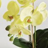 Plum & Post Phalaenopsis Orchid Artificial Plant Drop-In - image 2 of 4