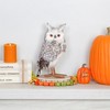 Decorae Fake Stuffed Owl Figure, 11in Tall Bird; Craft, Halloween Prop or Christmas Tree Topper Use - 4 of 4