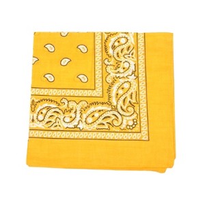Pack of 48 Daily Basic 100% Polyester 22 x 22 Paisley Printed Bandanas - 1 of 3