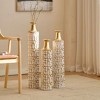 Infurnic Decorative Vases 3PCS Twigs Dried Flowers Antique Worn Vases, High Independent Stand for Living Room, Entryway, Multicolored, 5.7"*5.7"*32.3 - 2 of 4