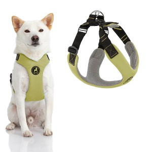 Gooby Convertible Z Harness Scratch Resistant Outdoor Harness with Shock Absorption - 1 of 1