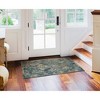 Liora Manne Marina Traditional Indoor/Outdoor Rug.. - 2 of 4