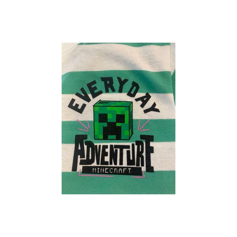 Minecraft Adventure Club 4pk Crew Neck Short Sleeve Youth Girl's Tees, 4 of 6