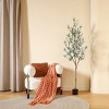 Artificial Olive Tree with Realistic Wood Trunk & Lush Leaves – Slim Pencil Faux Olive Plant for Home and Office Decor - 2 of 4