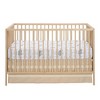 Lambs & Ivy Jungle Story 100% Cotton Safari Baby Fitted Crib Sheet - White - 3 of 4