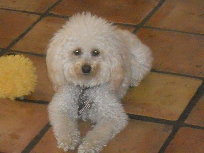 Guest review image 1 of 1, zoom in