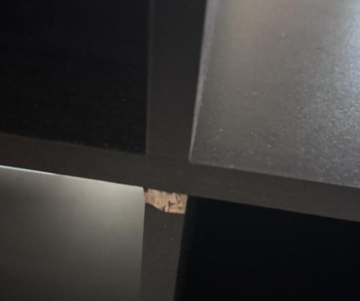 Guest review image 2 of 5, zoom in