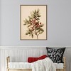 Amanti Art Red Berry Botanical by The Creative Bunch Studio Canvas Art Framed - 4 of 4