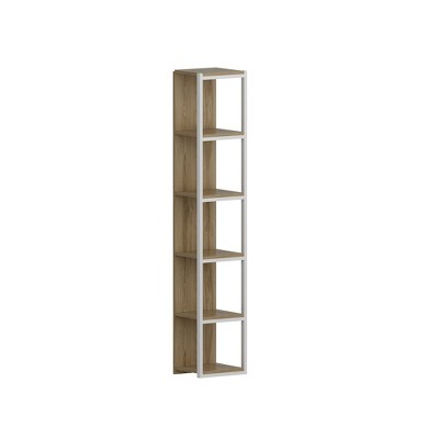 Decorotika,Texas Bookcase