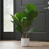 Coucheta 16" Artificial Fiddle Leaf Fig Tree - 2-Pack Fake Ficus Lyrata in Pot for Home & Office Decoration - 4 of 4