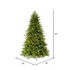 Vickerman Jersey Fraser Fir Artificial Christmas Tree Unlit - 3 of 4