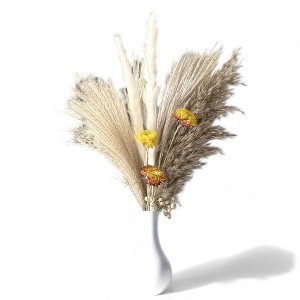 Alilang Pampas Grass Dried Floral Arrangement with Yellow Strawflower Accents, 17.5 Inches - Beige - 1 of 4
