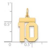 Black Bow Jewelry 14k Yellow Gold, Athletic Collection, Small Polished Number 10 Pendant - 2 of 3