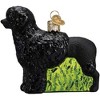 Old World Christmas Blown Glass Ornament for Christmas Tree, Portuguese Water Dog - 4 of 4