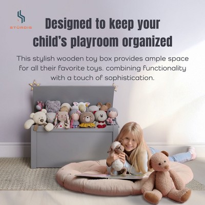 Sturdis Gray MDF Wooden Toy Box with Gloss Finish