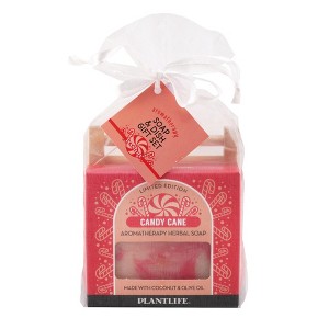 Candy Cane Soap on a Dish | Holiday Gift Set with Festive Bar Soap & Wooden Soap Dish | Plantlife - 1 of 1