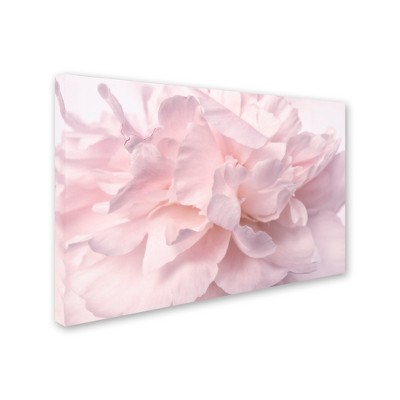 Trademark Fine Art - Cora Niele Pink Peony Petals II Matted Framed Art