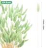 Unique Bargains Artificial Dried Flowers Realistic Look Pampas Bunny Tails Grass 17 Inch - 3 of 4