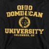 Ohio Dominican University Official Circle Logo Adult Pull-Over Hoodie - 2 of 4