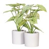 Vickerman 11.5" Artificial Variegated Leaves in Pot, 2 per bag - 3 of 3
