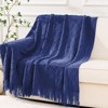 Inhand Knitted Gift Throw Blanket for Couch and Bed, 50"x60" Romatic Lightweight Decorative with Tassel, Farmhouse Warm Woven for Women - 2 of 4