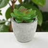 Unique Bargains Artificial Plants Mini Apple-Leaf in Pulp Plastic Green 2.56"x2.56"x2.95" 1 Pcs - 2 of 4