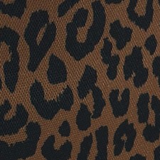 leopard brown