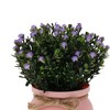 Unique Bargains Artificial Plants Baby's Breath in Pot Plastic 3.94"x3.94"x7.09" 1 Pc - 4 of 4