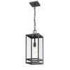 Z-Lite Nuri 1 - Light Pendant in  Black - 4 of 4