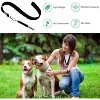 2 Pack Dog Whistle, Adjustable Ultrasonic Silent Dog Whistle, Professional Recall Dog Training Whistles - 4 of 4