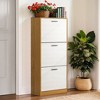 VANIRROR Shoe Cabinet, Entrance Shoe Storage Cabinet Organizer Holder For Bedrooms, Entryways - 2 of 4
