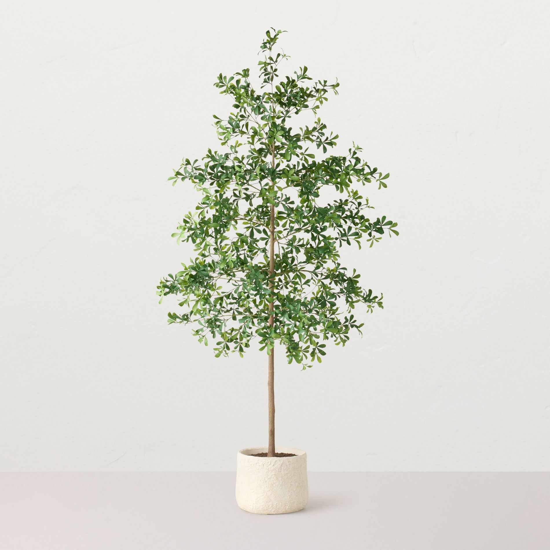 96" Black Olive Artificial Tree - Hearth & Hand™ with Magnolia