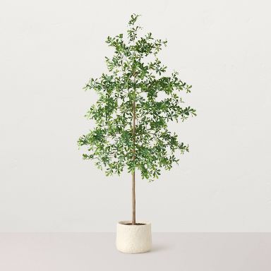 96" Black Olive Artificial Tree - Hearth & Hand™ with Magnolia