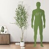 Acekool Artificial Olive Tree with White Planter and Fruit, 5ft/6ft/7ft Indoor Faux Tree, Realistic 1 or 2-Pack for Home or Porch - 2 of 4
