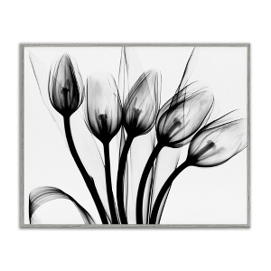 Stupell Industries Modern Tulip Blossom Abstract Monochrome Silhouette Photography, 14" x 11" - 1 of 4