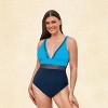 Women's Plus Size V Neck Mesh Sheer One Piece Swimsuit -Cupshe - 4 of 4