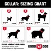 Boss Dog Tactical Collar - 2 of 4