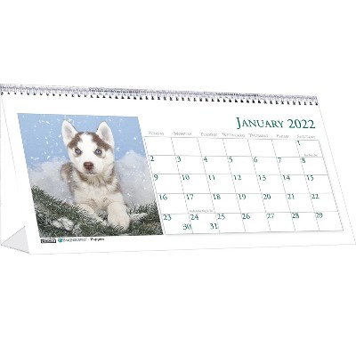 House of Doolittle 2022 4.5" x 8.5" Desk Calendar Earthscapes Puppies Multicolor 3659-22
