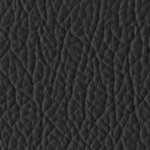 tampa bay buccaneers