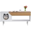 45'' Cat Litter Box Enclosure Furniture with Storage Drawer and Cat Door, Hidden Kitty Washroom Coffee Table for Living Room, White/Black - 4 of 4