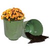 Sunnydaze Macetero de exterior de metal Vivian 11" - 4 of 4