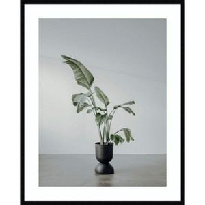 Amanti Art Portrait of a Plant by Incado Wood Framed Wall Art Print - 1 of 4
