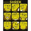 Girl's Shrek Shrek's Emotions Chart T-Shirt - image 2 of 4